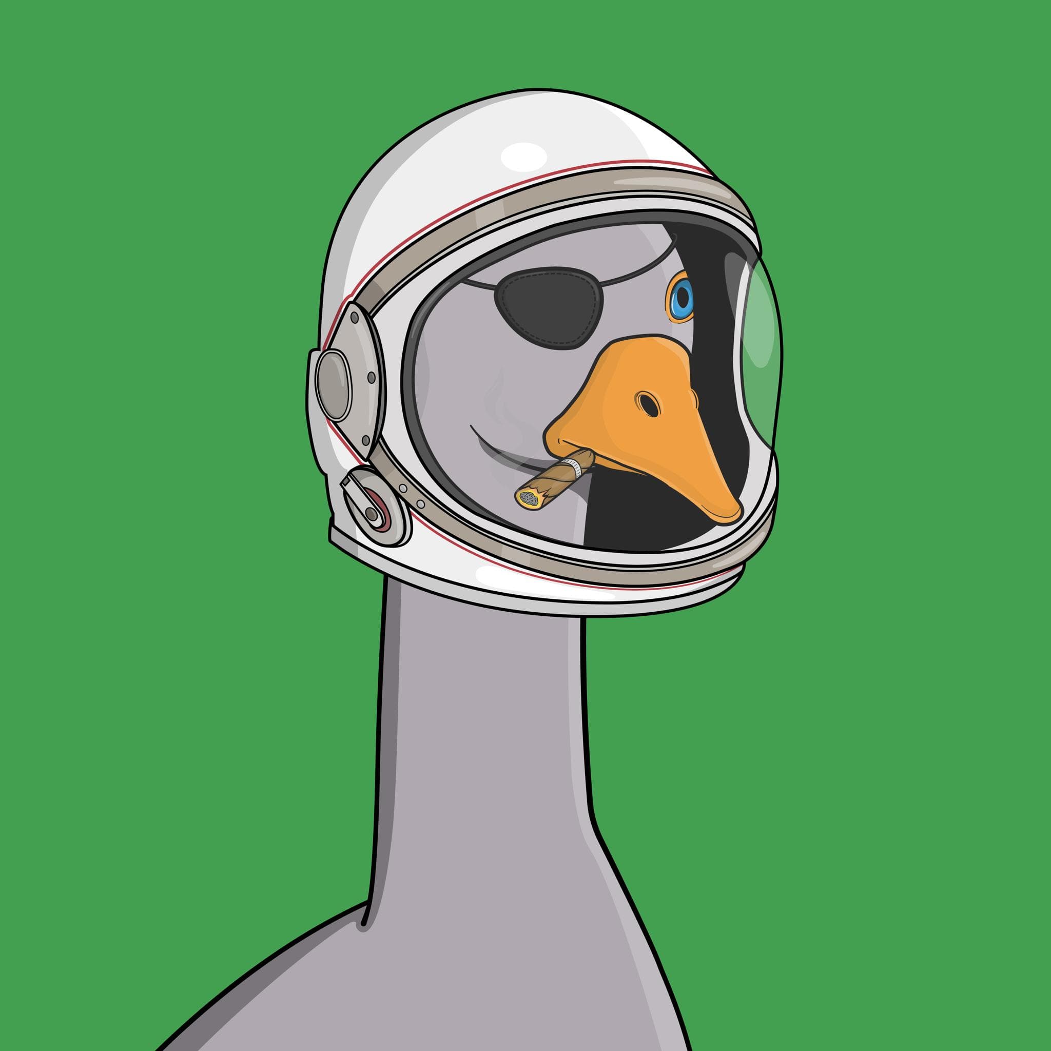 Crazy Goose Flock